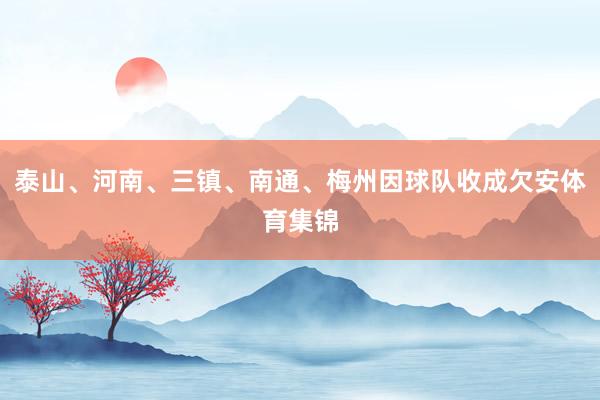 泰山、河南、三镇、南通、梅州因球队收成欠安体育集锦