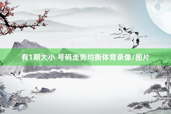 有1期大小 号码走势均衡体育录像/图片