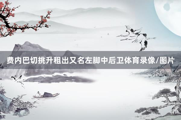 费内巴切挑升租出又名左脚中后卫体育录像/图片
