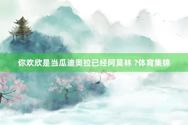 你欢欣是当瓜迪奥拉已经阿莫林 ?体育集锦