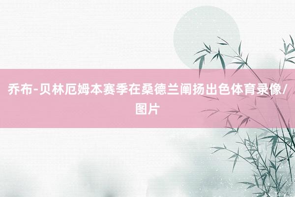 乔布-贝林厄姆本赛季在桑德兰阐扬出色体育录像/图片