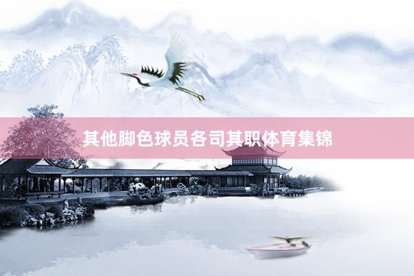 其他脚色球员各司其职体育集锦