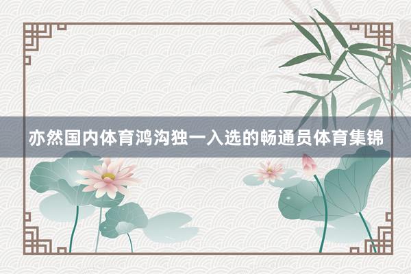 亦然国内体育鸿沟独一入选的畅通员体育集锦