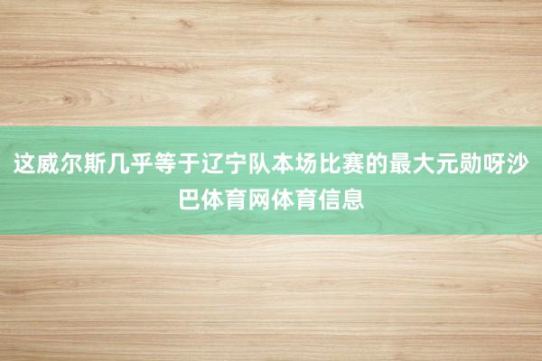 这威尔斯几乎等于辽宁队本场比赛的最大元勋呀沙巴体育网体育信息