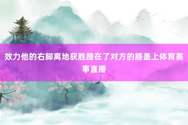 效力他的右脚离地获胜蹬在了对方的膝盖上体育赛事直播