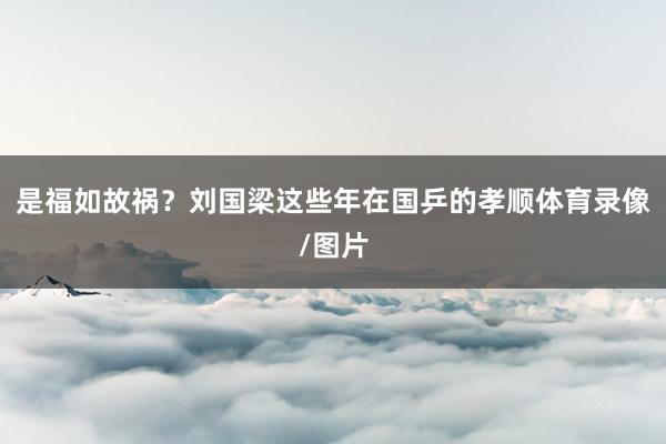 是福如故祸？刘国梁这些年在国乒的孝顺体育录像/图片