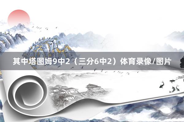 其中塔图姆9中2（三分6中2）体育录像/图片
