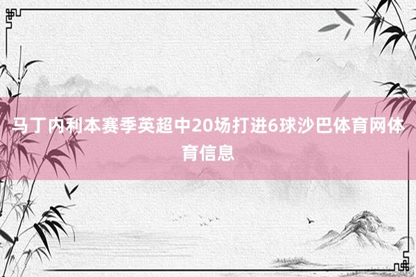 马丁内利本赛季英超中20场打进6球沙巴体育网体育信息