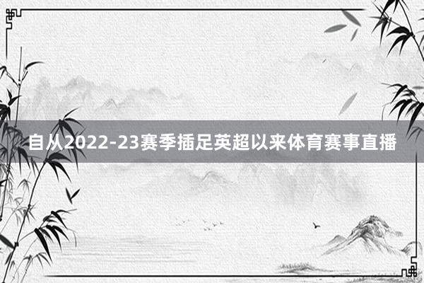 自从2022-23赛季插足英超以来体育赛事直播