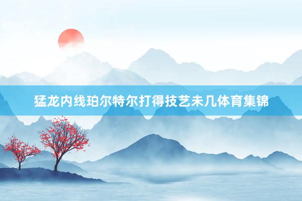 猛龙内线珀尔特尔打得技艺未几体育集锦