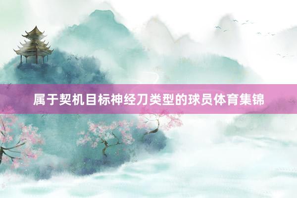 属于契机目标神经刀类型的球员体育集锦