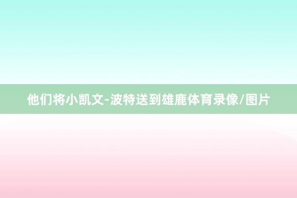 他们将小凯文-波特送到雄鹿体育录像/图片