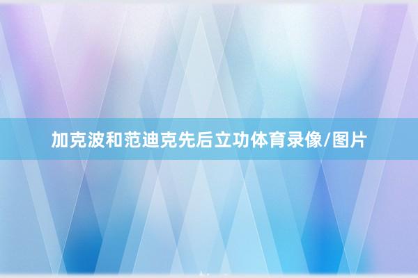 加克波和范迪克先后立功体育录像/图片