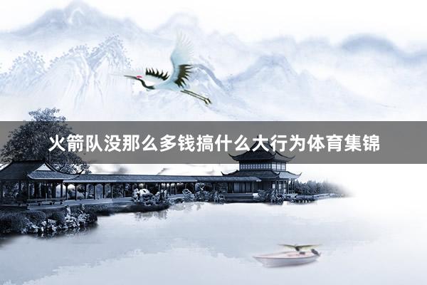 火箭队没那么多钱搞什么大行为体育集锦