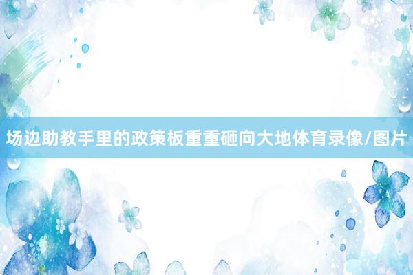 场边助教手里的政策板重重砸向大地体育录像/图片