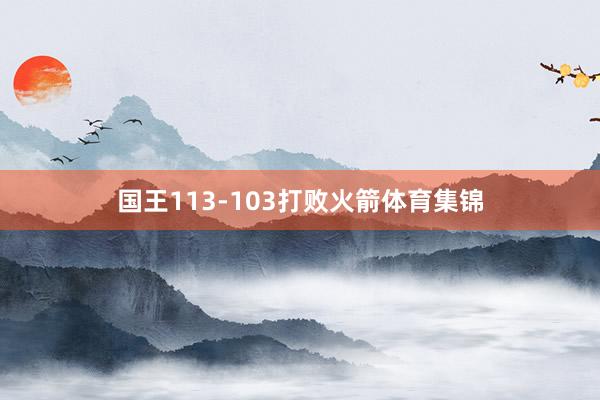 国王113-103打败火箭体育集锦