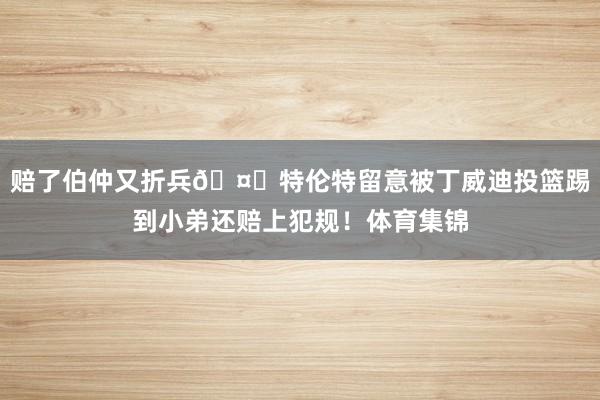赔了伯仲又折兵🤒特伦特留意被丁威迪投篮踢到小弟还赔上犯规！体育集锦