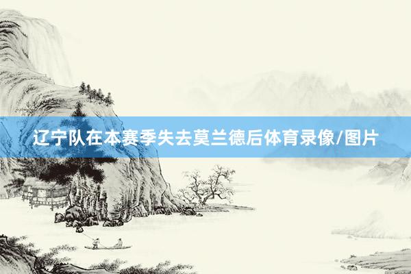 辽宁队在本赛季失去莫兰德后体育录像/图片