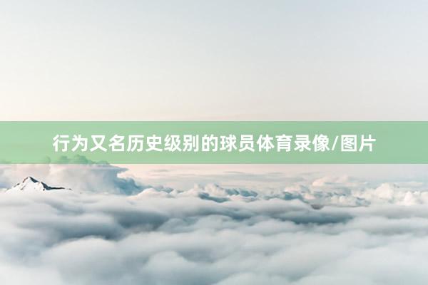 行为又名历史级别的球员体育录像/图片