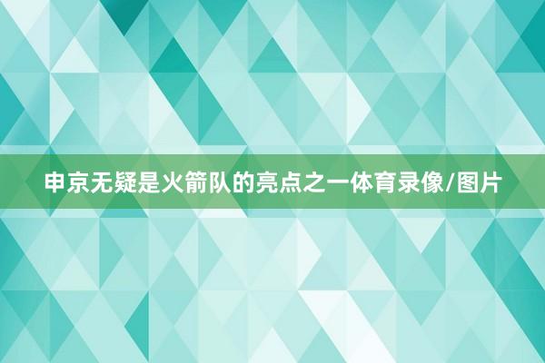 申京无疑是火箭队的亮点之一体育录像/图片