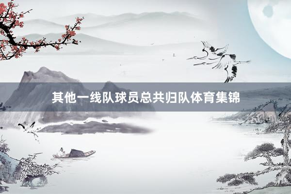 其他一线队球员总共归队体育集锦
