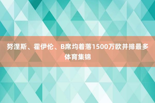 努涅斯、霍伊伦、B席均着落1500万欧并排最多体育集锦