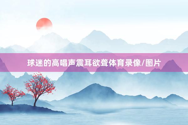 球迷的高唱声震耳欲聋体育录像/图片