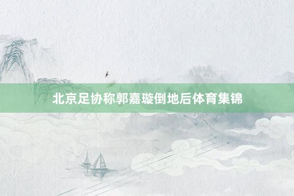 北京足协称郭嘉璇倒地后体育集锦