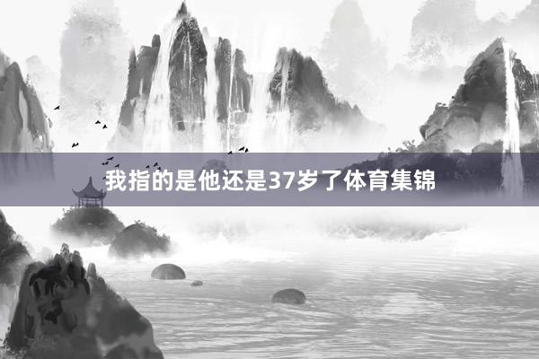 我指的是他还是37岁了体育集锦