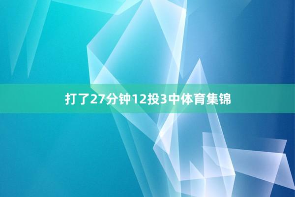 打了27分钟12投3中体育集锦