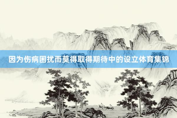 因为伤病困扰而莫得取得期待中的设立体育集锦