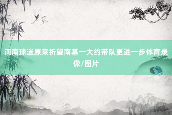 河南球迷原来祈望南基一大约带队更进一步体育录像/图片