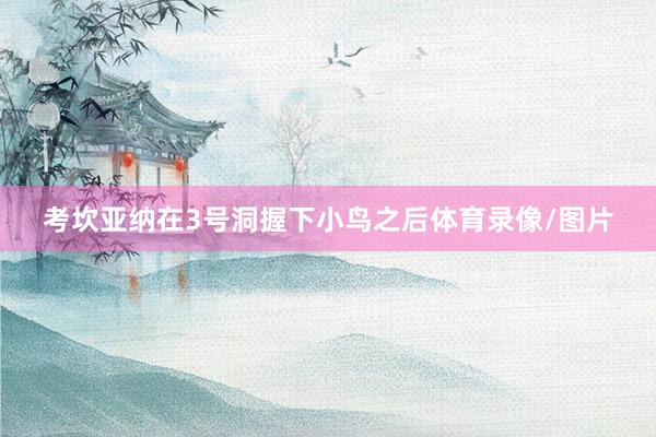 考坎亚纳在3号洞握下小鸟之后体育录像/图片