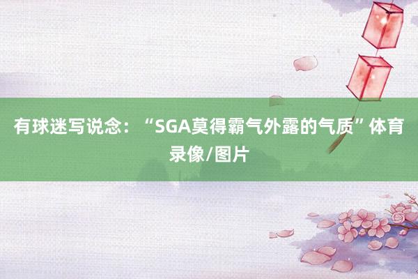 有球迷写说念:“SGA莫得霸气外露的气质”体育录像/图片