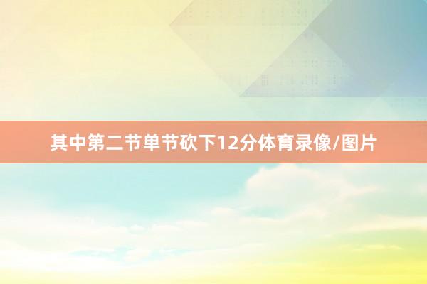 其中第二节单节砍下12分体育录像/图片