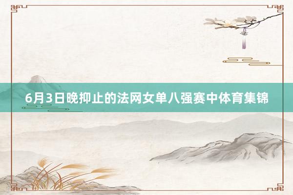 6月3日晚抑止的法网女单八强赛中体育集锦