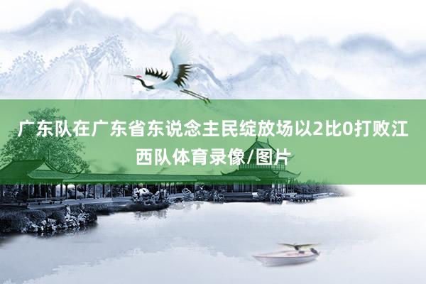 广东队在广东省东说念主民绽放场以2比0打败江西队体育录像/图片