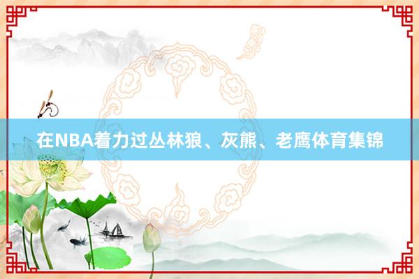 在NBA着力过丛林狼、灰熊、老鹰体育集锦