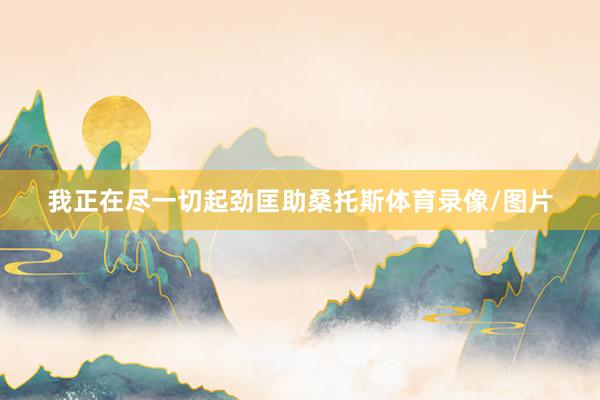 我正在尽一切起劲匡助桑托斯体育录像/图片