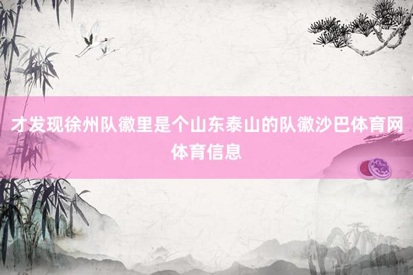 才发现徐州队徽里是个山东泰山的队徽沙巴体育网体育信息