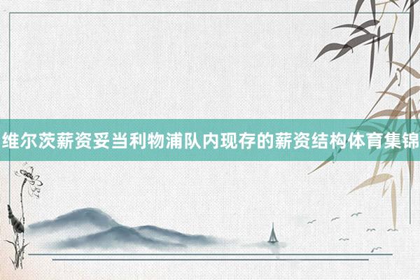维尔茨薪资妥当利物浦队内现存的薪资结构体育集锦