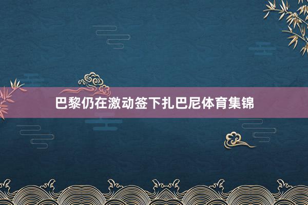 巴黎仍在激动签下扎巴尼体育集锦