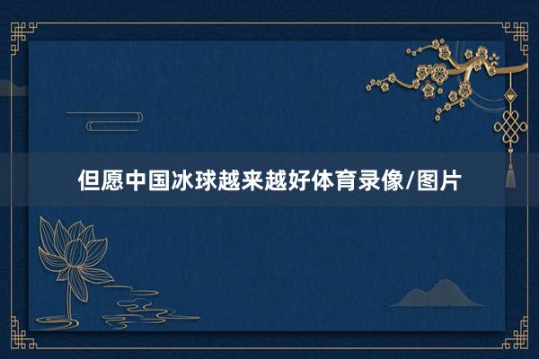 但愿中国冰球越来越好体育录像/图片