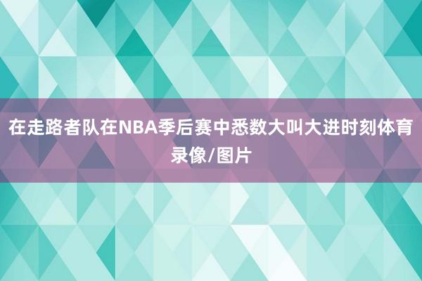在走路者队在NBA季后赛中悉数大叫大进时刻体育录像/图片