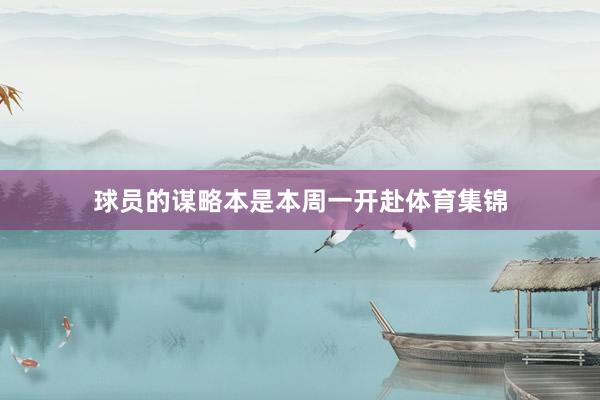 球员的谋略本是本周一开赴体育集锦
