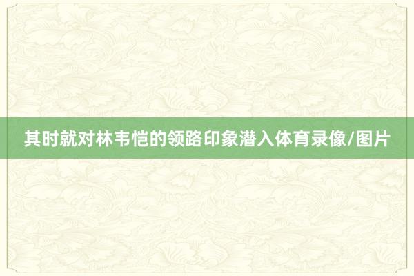 其时就对林韦恺的领路印象潜入体育录像/图片