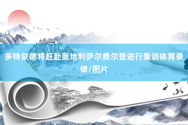 多特蒙德将赶赴奥地利萨尔费尔登进行集训体育录像/图片