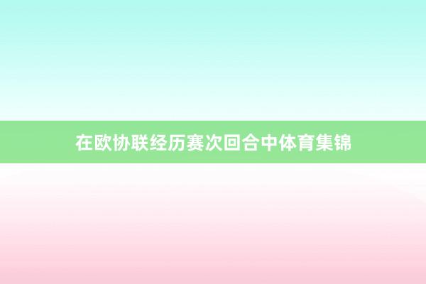 在欧协联经历赛次回合中体育集锦