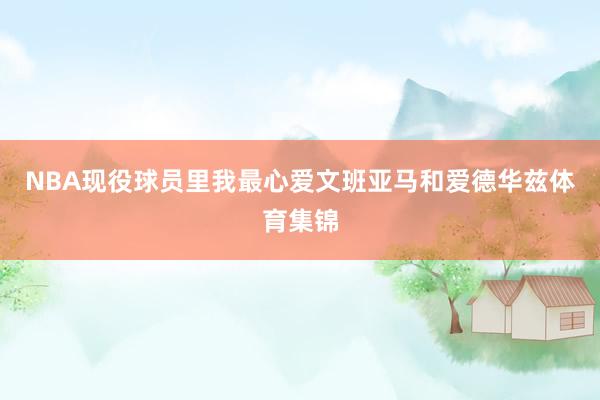 NBA现役球员里我最心爱文班亚马和爱德华兹体育集锦