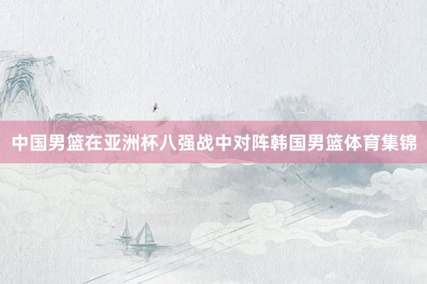 中国男篮在亚洲杯八强战中对阵韩国男篮体育集锦